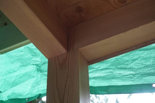 Shouldered tenon post and beam package